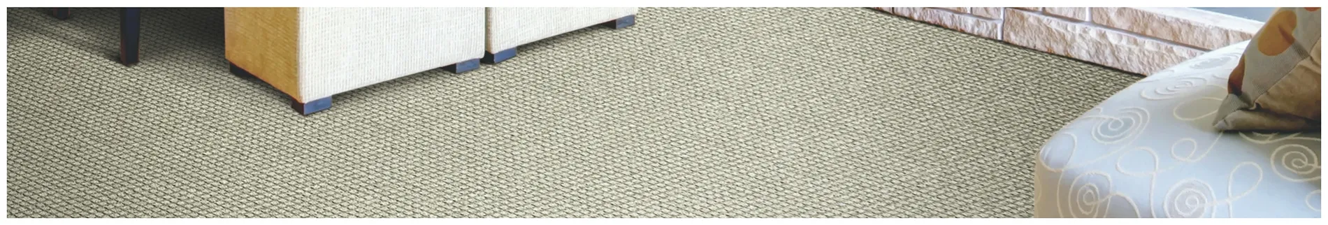 Shop carpet trends today.